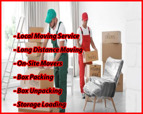 Packers And Movers Noida Sector 87